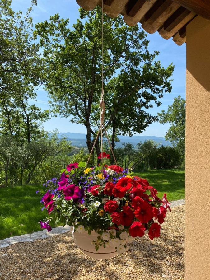Chante Coucou Saint-Saturnin-lès-Apt Esterno foto